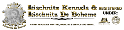 Lischnitz De Boheme